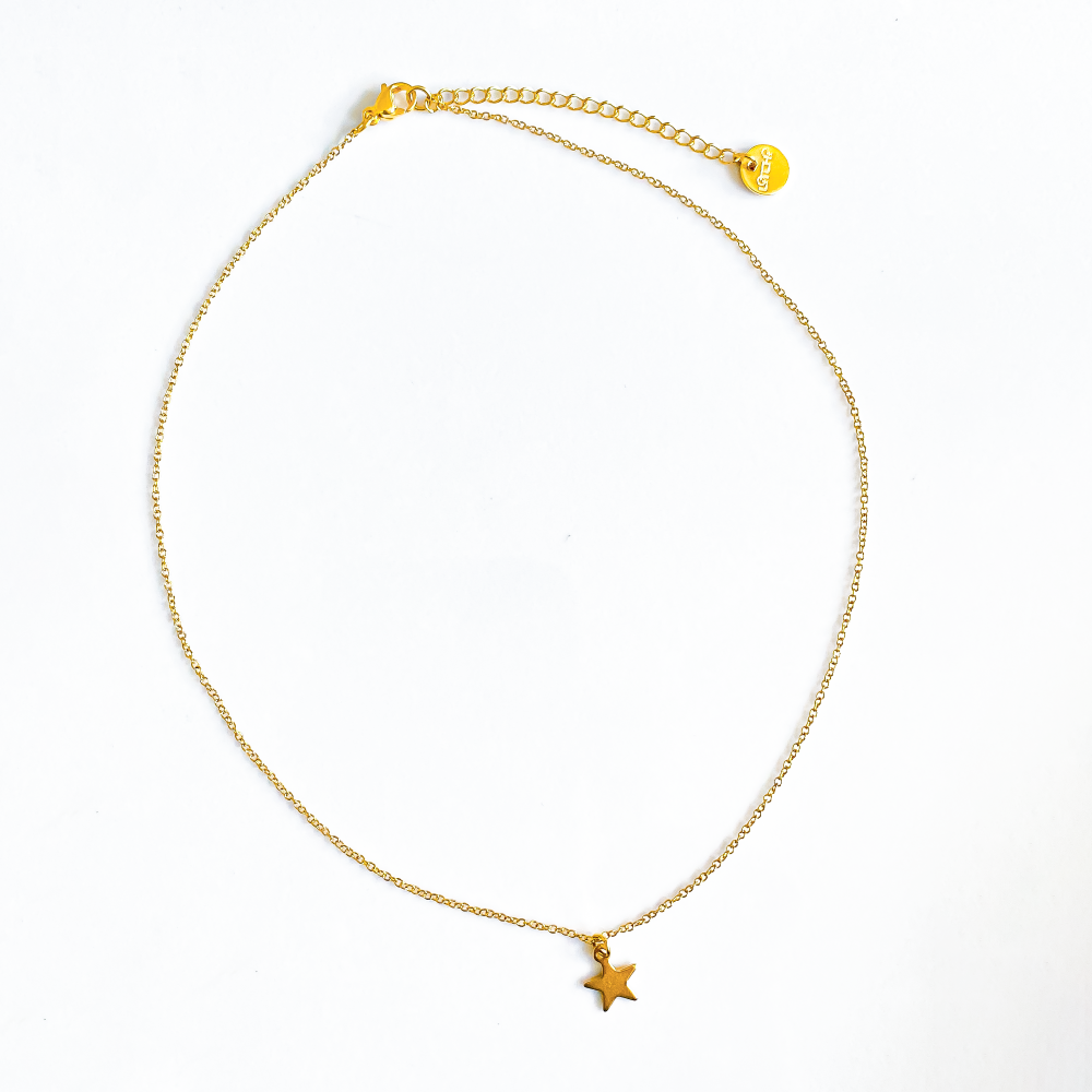 Sur la photo, un collier en acier inoxydable brille sous la lumière, mettant en valeur un pendentif étoile doré suspendu avec élégance. L'acier poli contraste magnifiquement avec l'éclat doré de l'étoile, créant un équilibre entre modernité et sophistication.