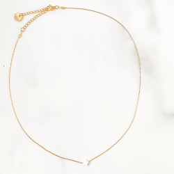 Collier star