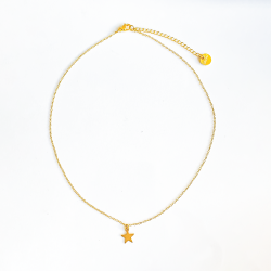 Chaîne pendentif etoile