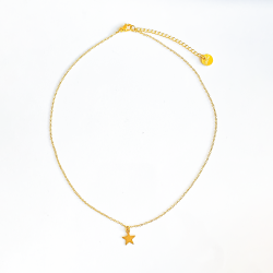 Chaîne pendentif etoile