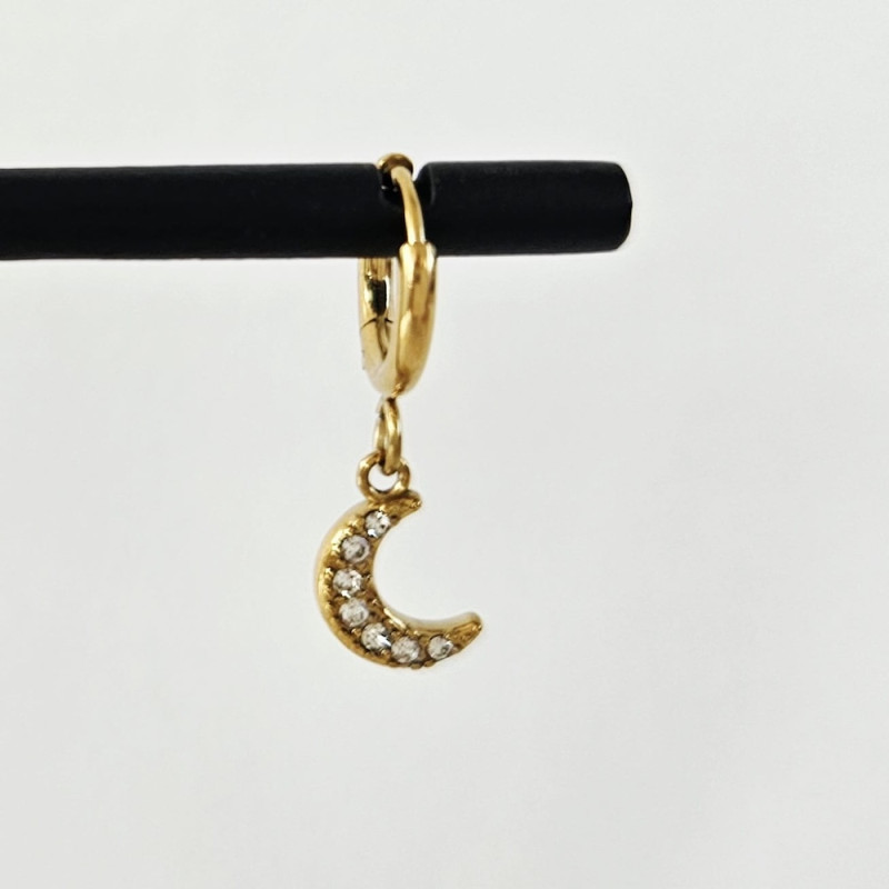 Pretty Moon Grigri Earrings