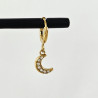 Pretty Moon Grigri Earrings