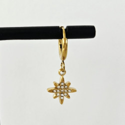 Pretty Star Grigri Earrings