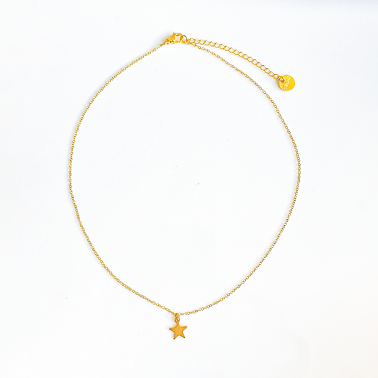Sur la photo, un collier en acier inoxydable brille sous la lumière, mettant en valeur un pendentif étoile doré suspendu avec élégance. L'acier poli contraste magnifiquement avec l'éclat doré de l'étoile, créant un équilibre entre modernité et sophistication.