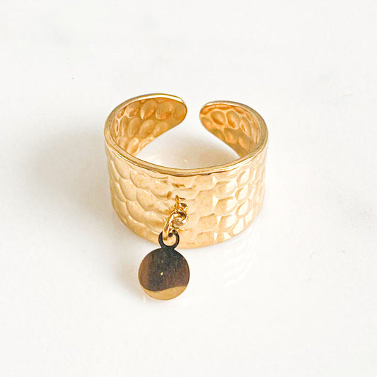 La photo présente une bague ajustable en acier inoxydable, élégamment conçue pour s'adapter à différentes tailles de doigts. Au sommet de la bague, il y a un charmant pendentif, peut-être orné d'une pierre précieusL'acier inoxydable confère à la bague un éclat métallique durable, ajoutant à son attrait esthétique et à sa longévité.